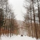 설산 | 차타고 올라가는 1330m 설산, 만항재 운탄고도 눈썰매 트레킹 백패킹 후기