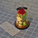 조아트 플라워 이미지