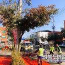 상주기상곶감