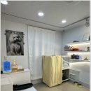 우리집강아지 애견미용 이미지