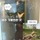제주평화박물관(휴관) | 제주 가볼만한 곳ㅣ제주민속자연사박물관 관람료, 주차, 전시