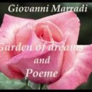 꿈의 정원 이미지