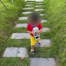 논산목장 | 논산 대형카페 코이비꼬 후기 넓은 잔디밭뷰에서 즐기는 소금빵 토마토주스 상하목장 아이스크림