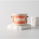 선플란트치과의원 | 진천틀니치과추천, 장기간 편안한 사용을 위해