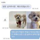 트렌독 네이버블로그