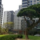 아크로리버파크아파트 이미지