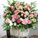 화려한 날의 오후 이미지