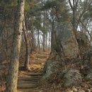 생태복지림참사람의숲 | 청주 우암산~상당산성 산행