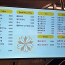 별꽃자리