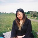 아일랜드 365 이미지