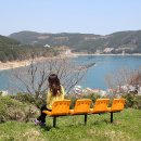 바다그림 이미지