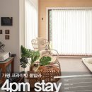 4PM STAY 이미지
