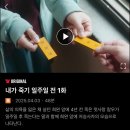 그래 맞다. 아무것도 하기 싫어서 올리는 글이다.