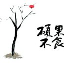 석교마을회관 | 四字成語 총정리 <ㅅ> 366 석고집적층~석남사고