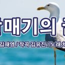 갈매기의 꿈(김재영 작사,김유진 작곡,차혜민 노래) 2023캥거루창작동요제 이미지