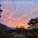 솔방1 이미지