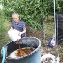 드림농원 이미지