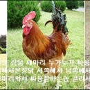 딩동댕 이미지