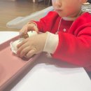 돌배나무 세그루 | 그루나무 야채 모양 친구들 찐빵 후기 : 아이간식으로 딱 좋은 7가지 야채 캐릭터 찐빵