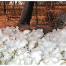 해성주유소 이미지