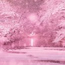 액티브시니어 이미지