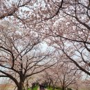 낙동강변7 이미지