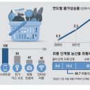 이례유통 이미지