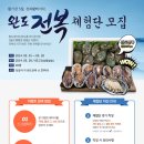 완도전복 이미지