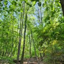 시루봉산성 이미지