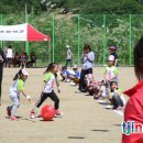 태백삼성초등학교 이미지