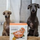 싼타소프트 이미지