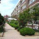 월평초등학교 이미지