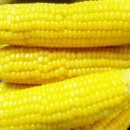 힐링네일 이미지