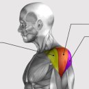 토크짐주안 이미지