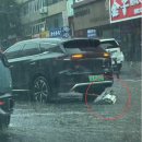 동아오토카 | 3천만 원대 파격 SUV 상륙에 긴장하더니… 달리던 BYD ‘모터 탈락’ 영상에 차주들 ‘술렁’