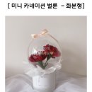 디얼투유 이미지