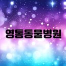 영통동물병원 이미지