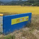 혜영농장 | 아이와 함께 떠나는 체험활동! 농장 체험 청도 도담도담팜팜 몸만 오세요~