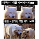엥? 벌써 3분기 끝난거 실화..? 그래도 3분기 마지막날 기분 좋은 소식으로 햅삐한 마무리( ღ&#39;ᴗ&#39;ღ )