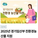 2025년 경기 / 광명 임산부 혜택 - 임산부 친환경농산물 지원 선정 후기