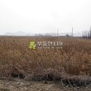 당진시노인요양원