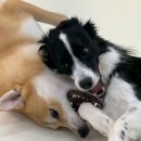 새마을 유치원 이미지