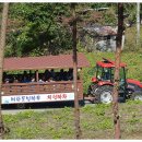 매화둠벙마을