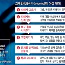 그루밍 하니 이미지