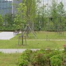 서울식물원 이미지