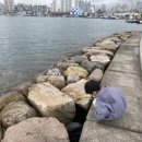 전하낚시 이미지