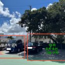 제주도조용한게스트하우스산방산 이미지