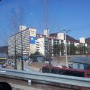 삼호공인중개사사무소 네이버블로그
