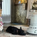 시골할매 | 제주 골목카페 옥수 | 애월 구옥 시골 카페 할매라떼 후기, 주차정보