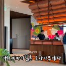 웰컴캐노피 | 캐노피 바이 힐튼 오사카 우메다 조식 객실 솔직 후기 호텔 추천
